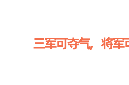 三军可夺气,将军可夺心