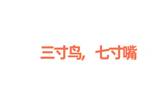 三寸鸟,七寸嘴