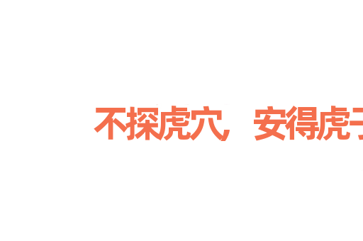 不探虎穴,安得虎子