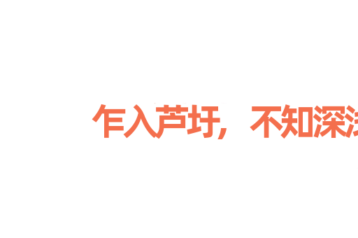 乍入芦圩,不知深浅