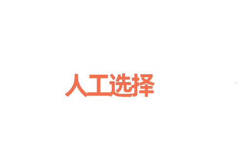 人工选择
