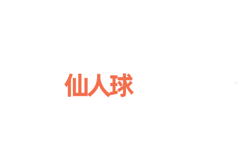 仙人球