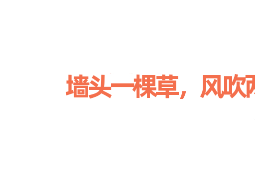 墙头一棵草，风吹两边倒