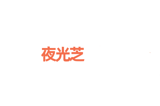 夜光芝