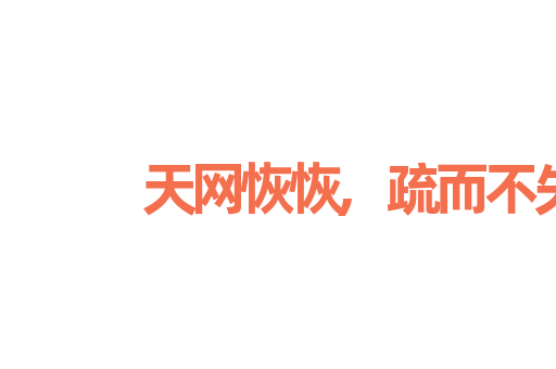 天网恢恢,疏而不失