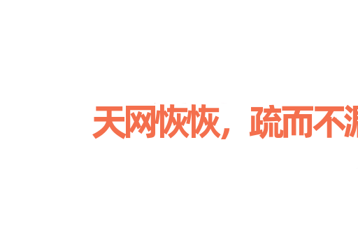 天网恢恢，疏而不漏