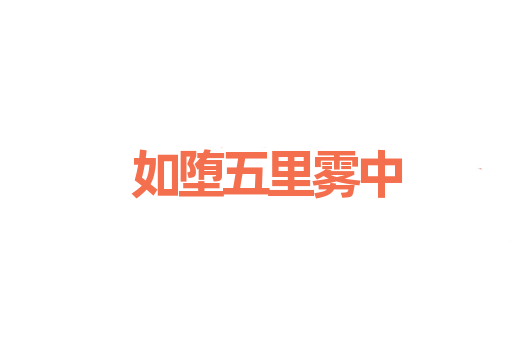 如堕五里雾中