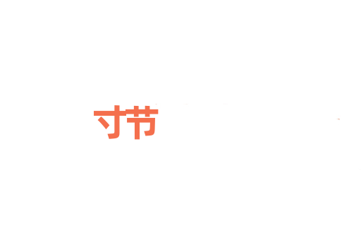 寸节