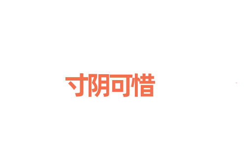 寸阴可惜