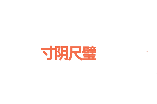 寸阴尺璧