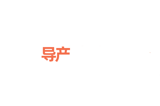 导产