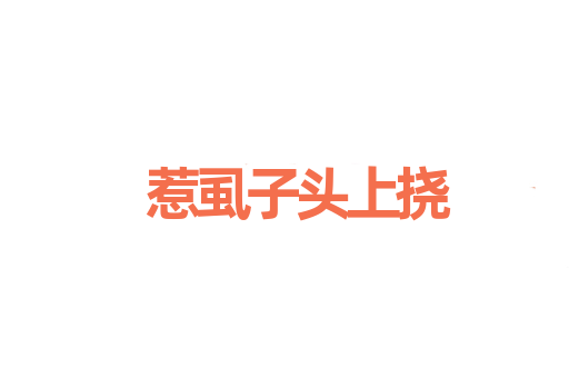 惹虱子头上挠