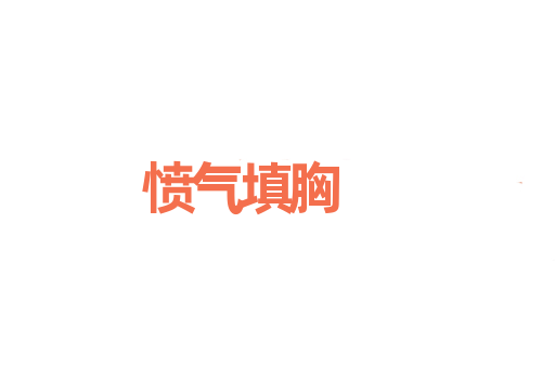 愤气填胸