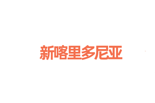 新喀里多尼亚