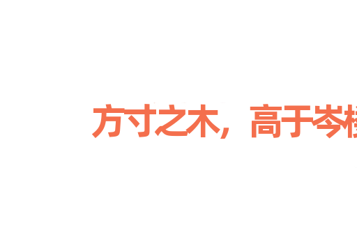 方寸之木，高于岑楼