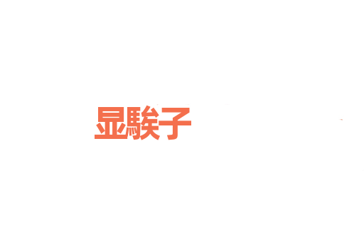 显騃子