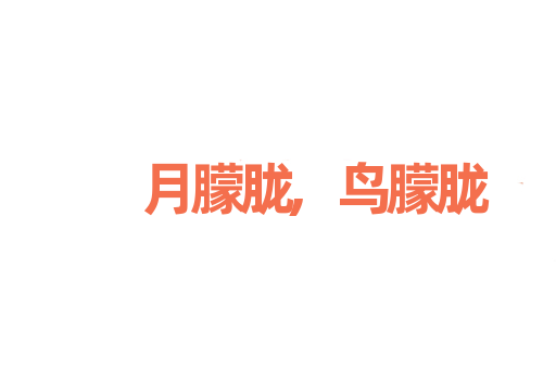月朦胧,鸟朦胧