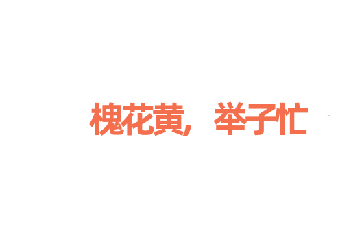 槐花黄,举子忙