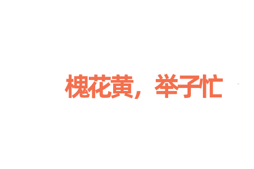 槐花黄，举子忙