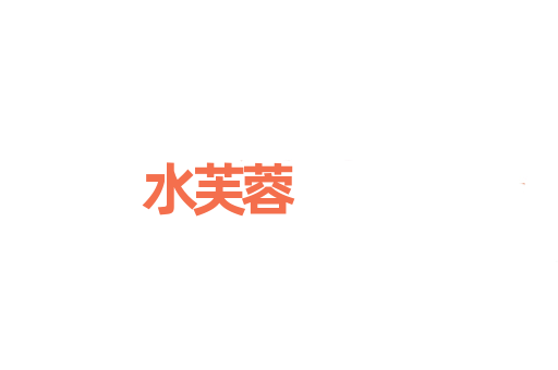 水芙蓉