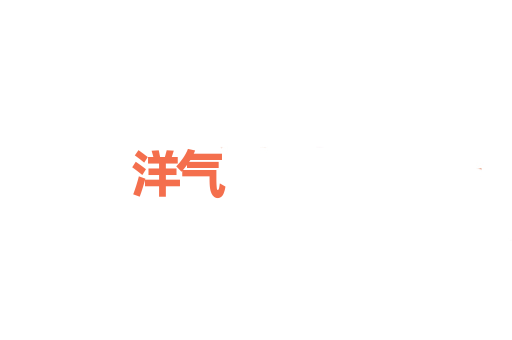 洋气