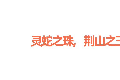 灵蛇之珠,荆山之玉
