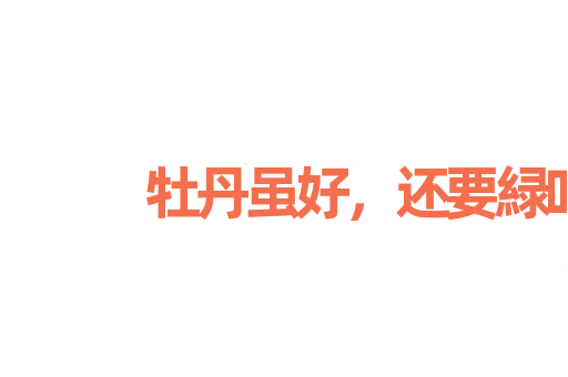 牡丹虽好，还要緑叶扶持
