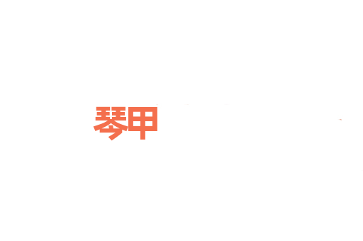 琴甲