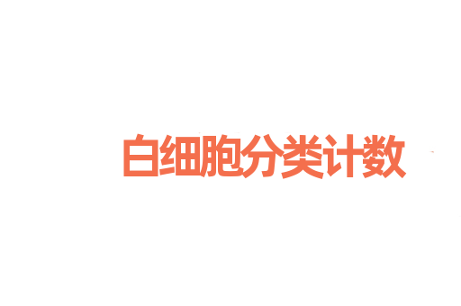 白细胞分类计数