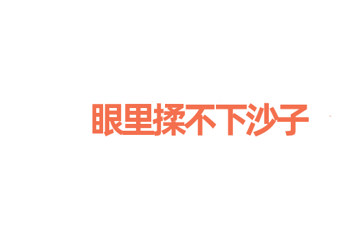 眼里揉不下沙子