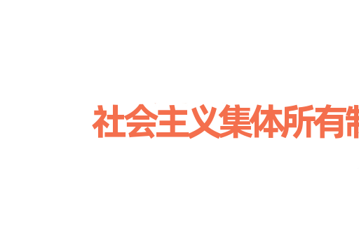 社会主义集体所有制