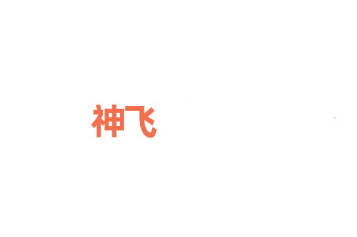神飞
