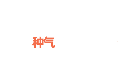 种气