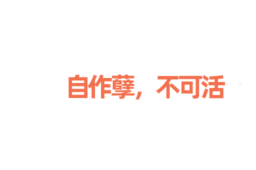 自作孽，不可活