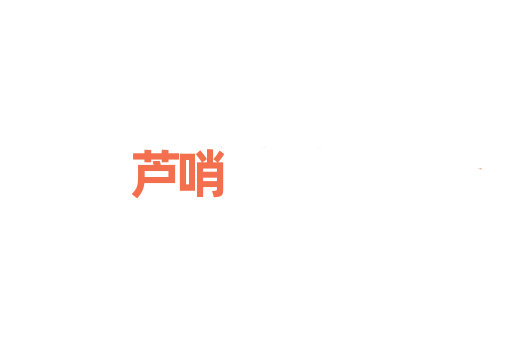 芦哨