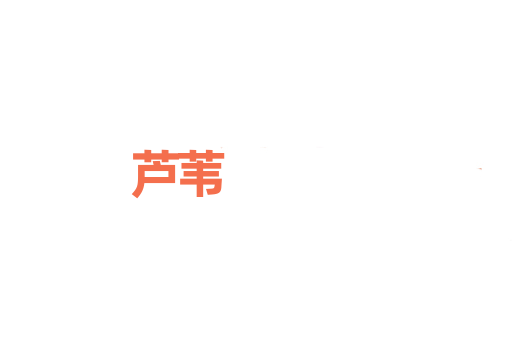 芦苇