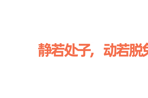 静若处子,动若脱兔