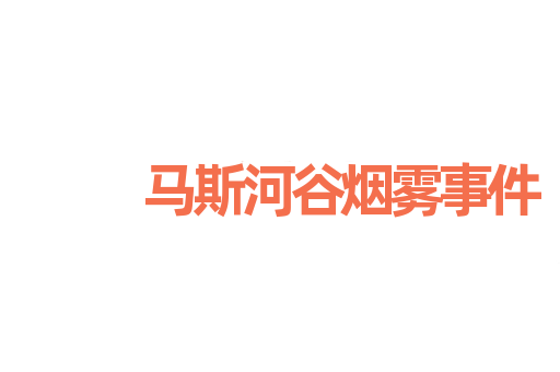 马斯河谷烟雾事件